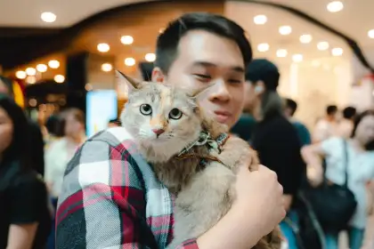 9 Singapore Cat Festival 2024