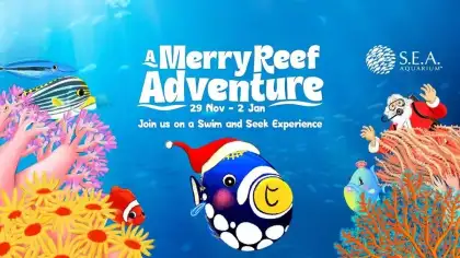 6 A Merry Reef Adventure