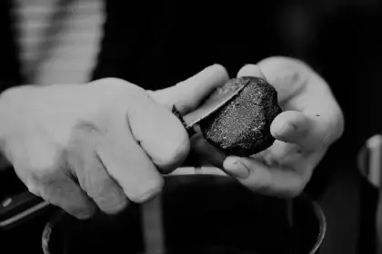 4 Plantin Black Truffle Hunting Dinner