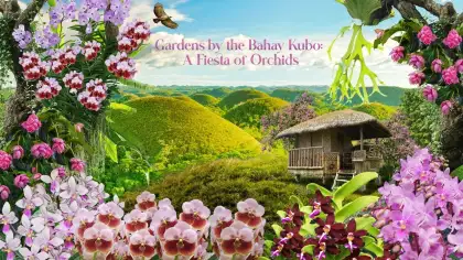 1 Gardens by the Bahay Kubo: A Fiesta of Orchids