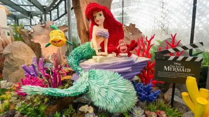 1 Disney Garden of Wonder at Floral Fantasy