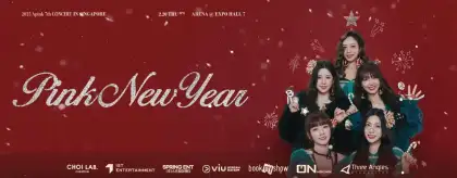 1 Apink 7th Concert 'PINK NEW YEAR' in Singapore