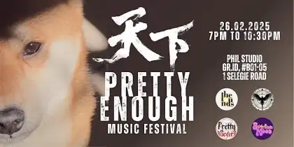 10 Pretty Enough Music Festival