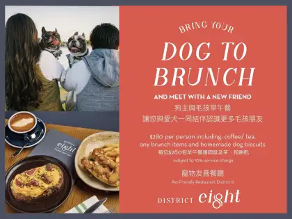 Bark Brunch A Dog Friendly Brunch Experience