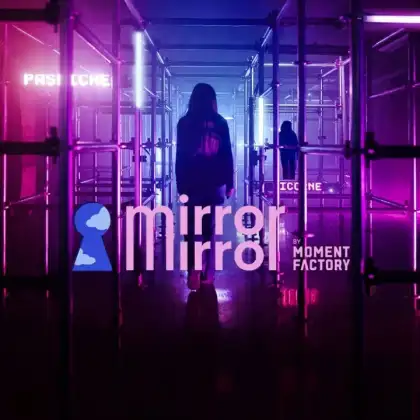 1 Mirror Mirror: Journey Into the Mind