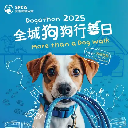4 SPCA - Dogathon 2025