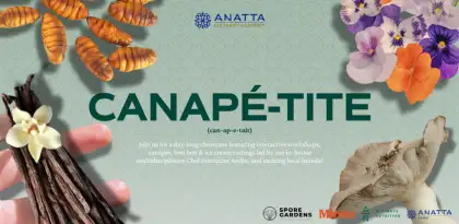 4 Canapé-tite: Exploring Alternative Sources of Food with ANATTA