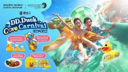 2 DD. Ducks Cove Carnival @ Adventure Cove Waterpark