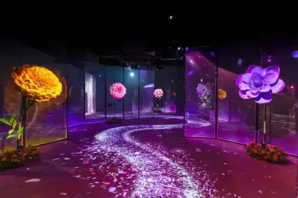 Naked flower exhibition