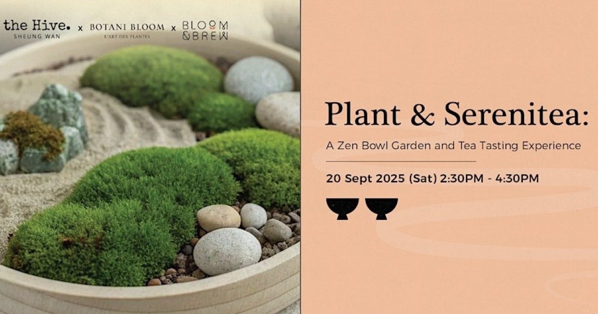 Zen Tea Activity Plant & Sereni-Tea: Zen Garden Bowl &… | The Beat Hong Kong