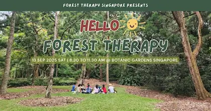 7 Hello Forest Therapy 2025
