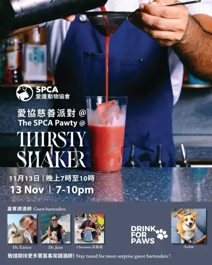 2 The SPCA Charity 'Pawty' (November 2025)