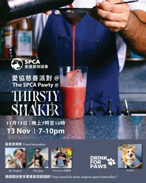 The SPCA Charity Pawty November 2025