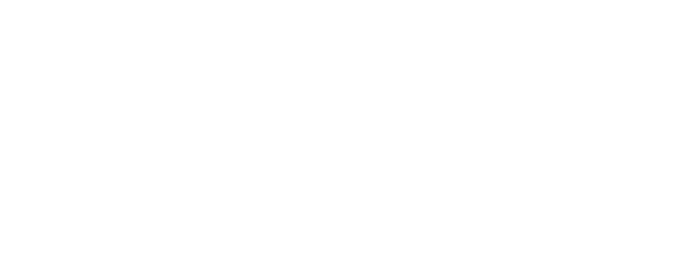 Pirata Group