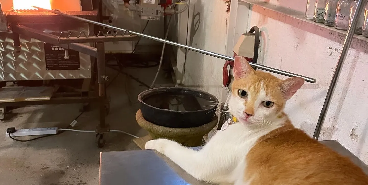 401136425 18286283833158266 7498032078807547827 n