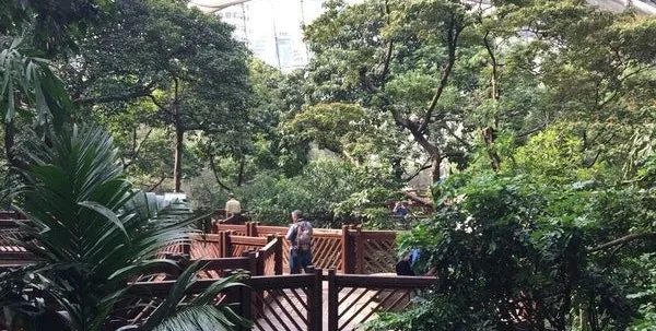 60780513 vn47 D5y4 Bo T4rc Ru Ib4 P4 Hm0 MI Vp Hapk7 Ei2lgguv6 E