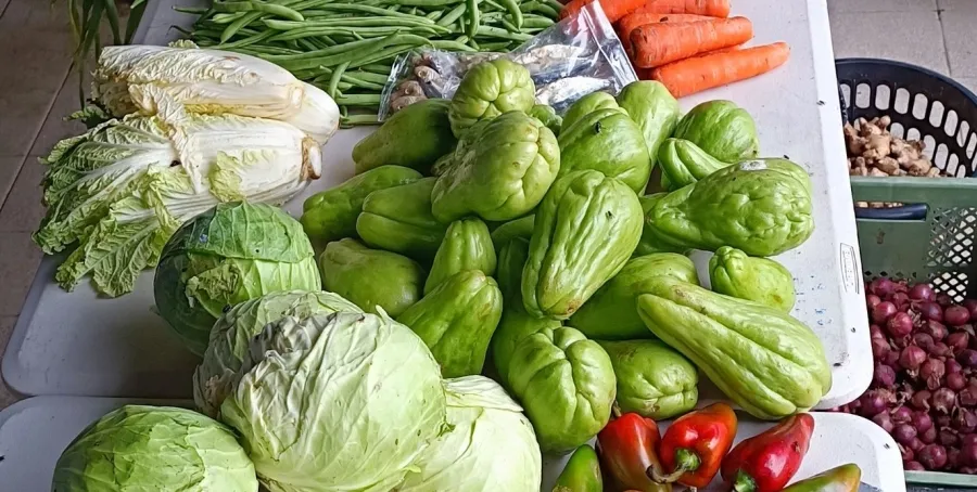 458325117 924965772994028 3125991966403652164 n