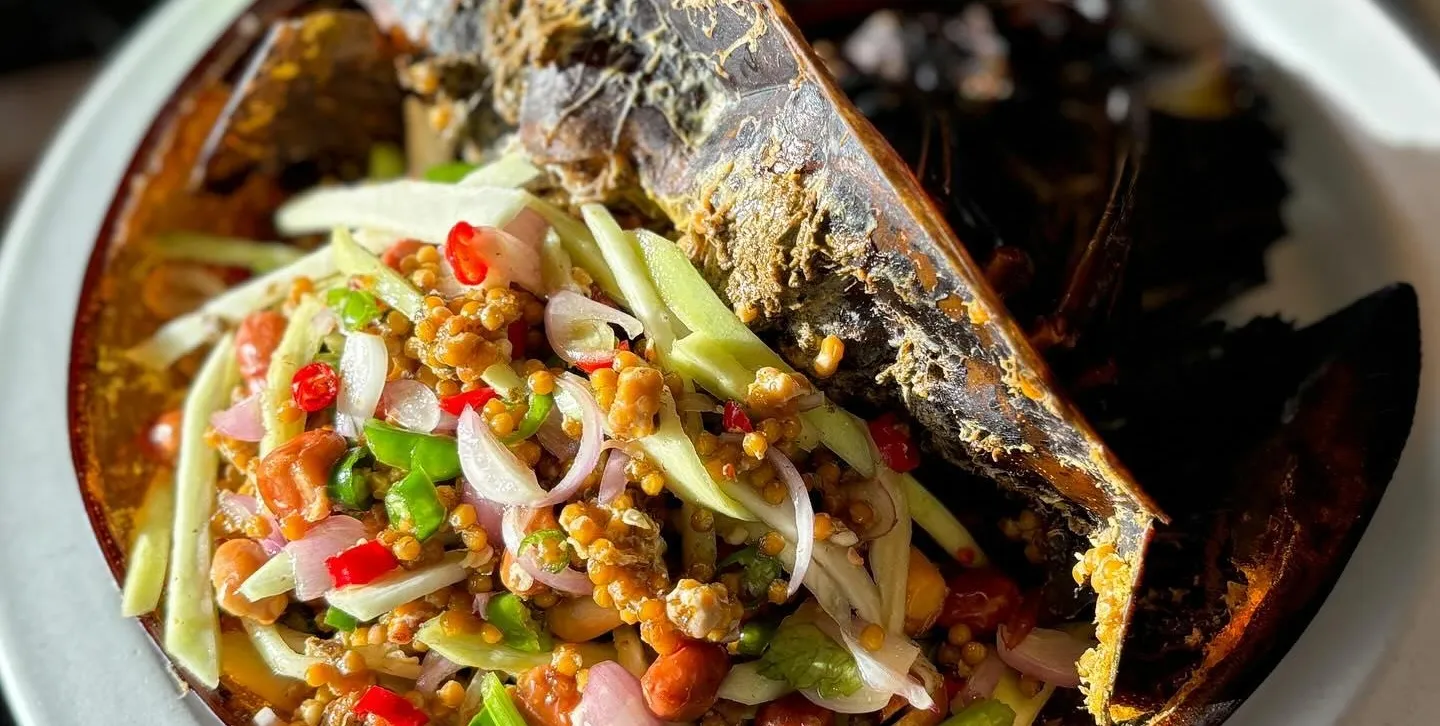 The Never Ending Summer pic 2