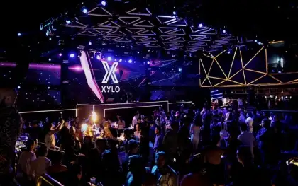 Xylo magic 6 1544424836