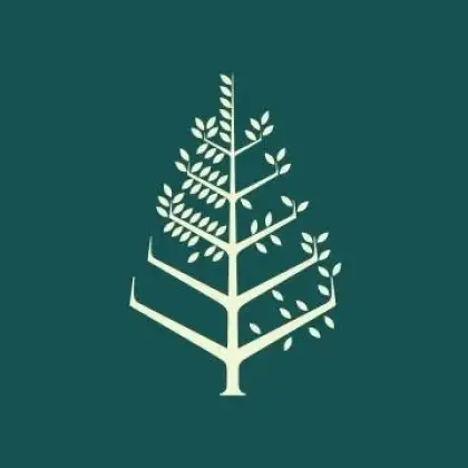 367456251 671684418326808 9027622978197132448 n