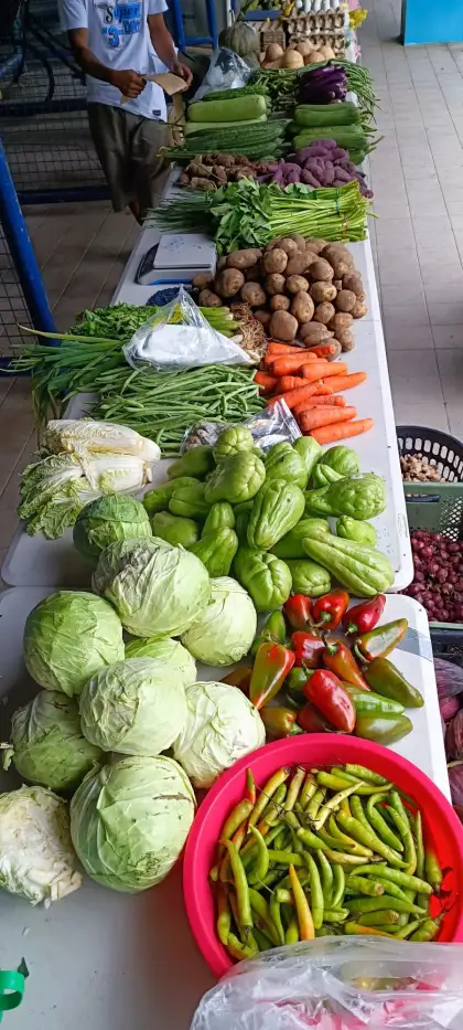 458325117 924965772994028 3125991966403652164 n