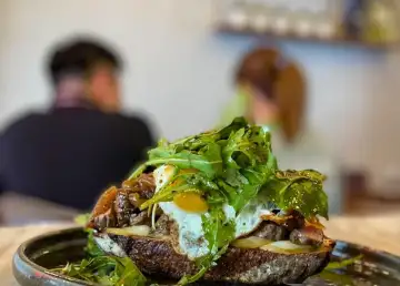 295039534 930116211167632 1440717887684507102 n