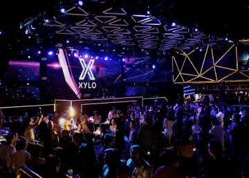 Xylo magic 6 1544424836