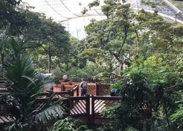 60780513 vn47 D5y4 Bo T4rc Ru Ib4 P4 Hm0 MI Vp Hapk7 Ei2lgguv6 E