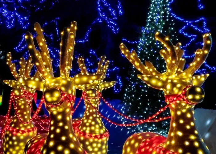 What We Know So Far About Hong Kong Winterfest 2021