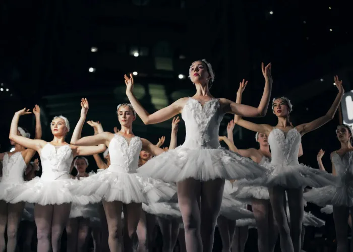 20250722 Swan Lake