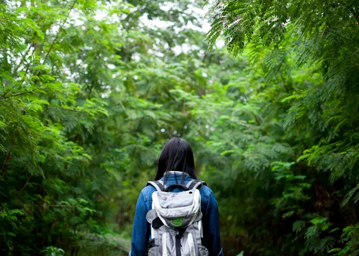 Travel