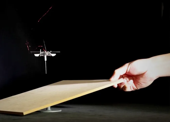Insect Robot