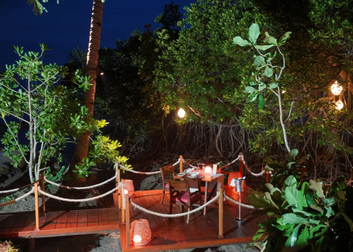 Mangrove Dinner
