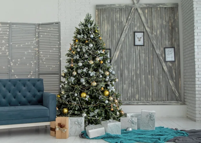 Where to Buy a Christmas Tree in Hong Kong