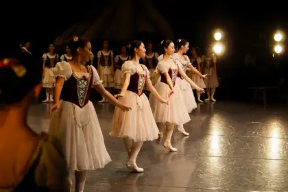 The nutcracker ccp banner