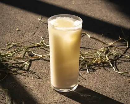 Elegant cocktail with herbs