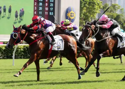 horse races hong kong