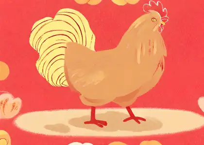 Rooster