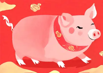 Pig