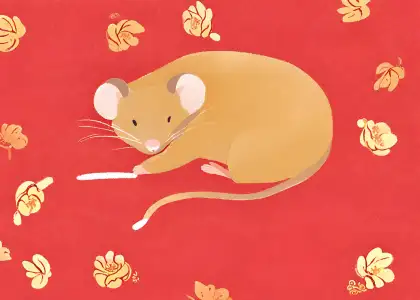 Rat