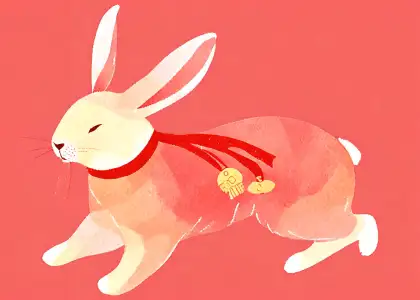 Rabbit