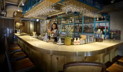 woman behind the bar shaking a drink