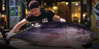 japanese chef and tune