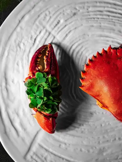 signature evolution crab