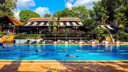 hollandse club singapore