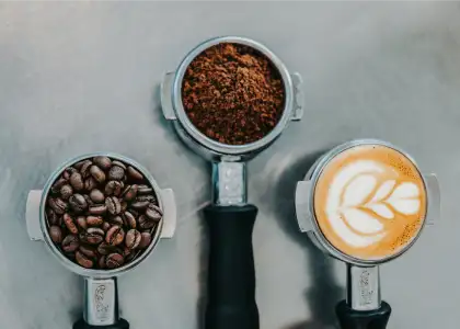 Everything You Need to Know About Coffee 1