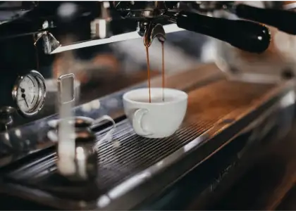 Everything You Need to Know About Coffee 4