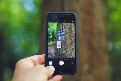 iphone taking picture in the woods