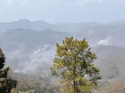 Southeast Asia still on fire - FCCT Panel Discussion