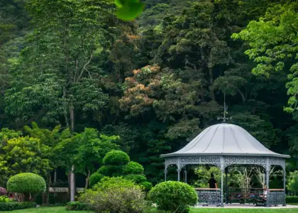 Victoria Peak Garden